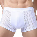 Cotton Mesh Briefs