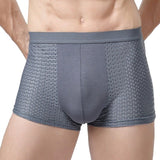 Cotton Mesh Briefs