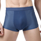 Cotton Mesh Briefs