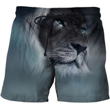 Printed Board Shorts