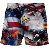 USA Print Board Shorts