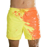 Quick Dry Printed Board Shorts